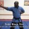 Back Fist
