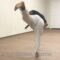 Back kick  Spinning